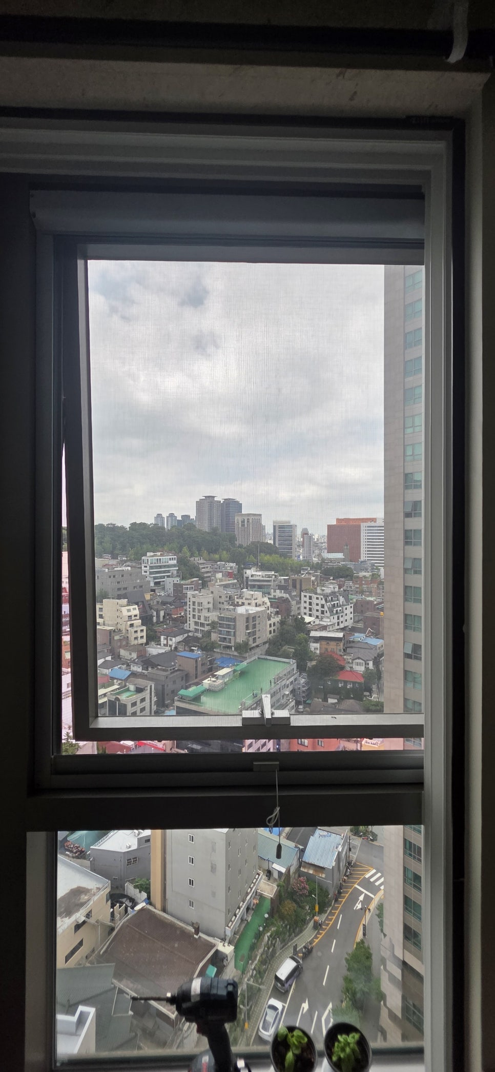 아이리스 사진 4