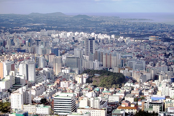 고도 사진 2