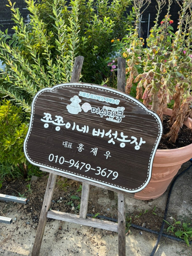 [대전 단체체험 추천] 유성근처 아이와 가볼만한 곳 '쫑쫑이네 버섯농장&버그팜'(+버섯피자체....