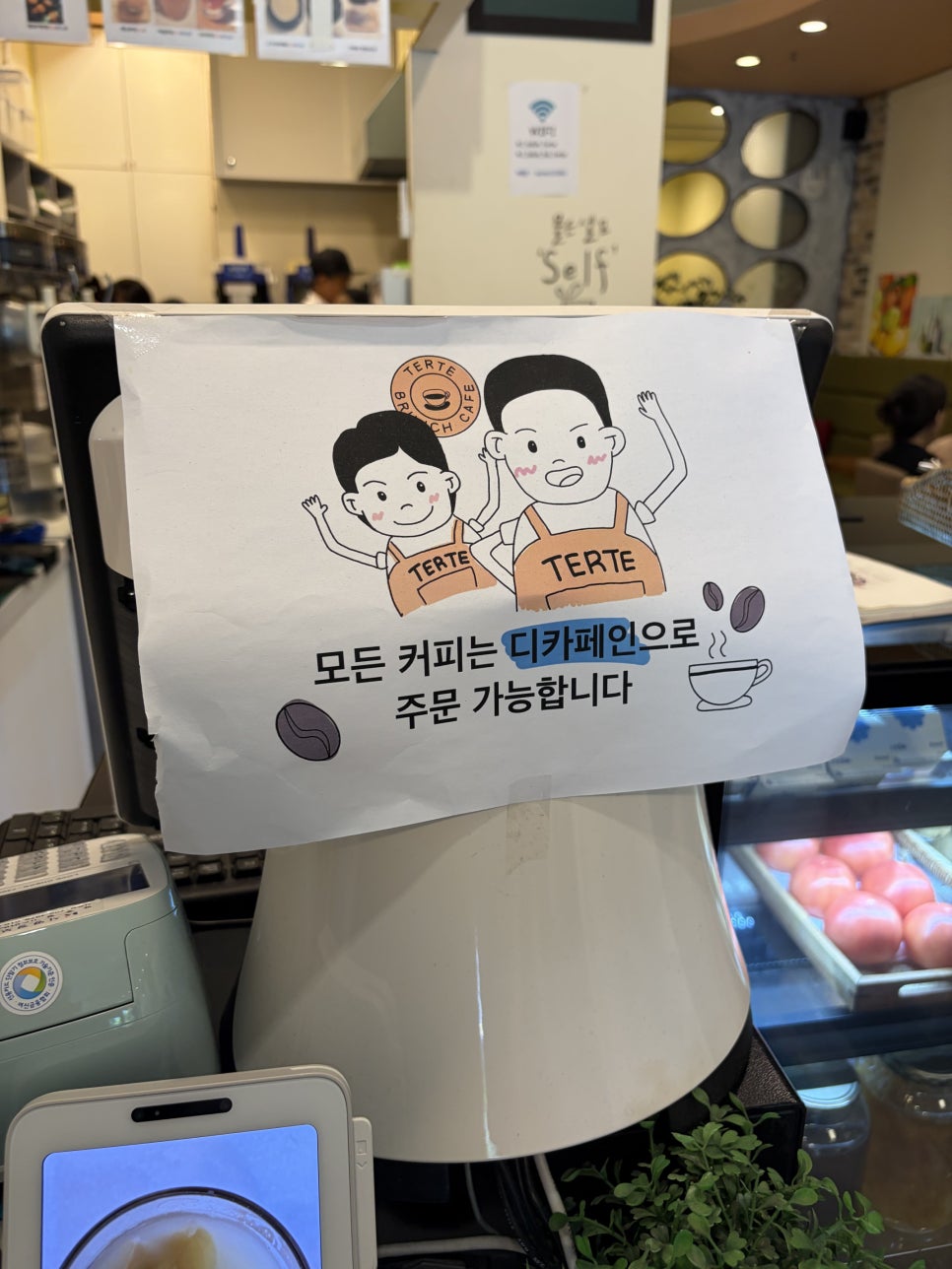 떼르떼 사진 6