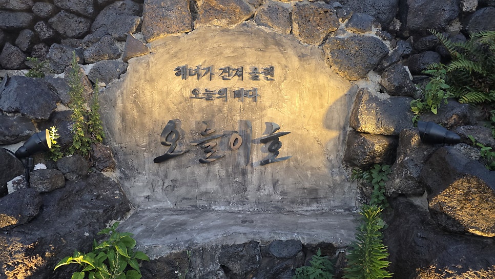 오늘이호 사진 2