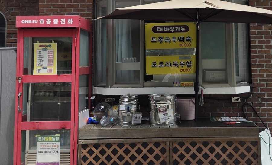 대바우가든 사진 5