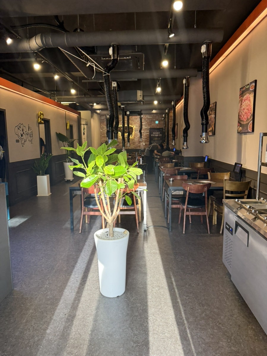 노란꽃돼지 사진 6