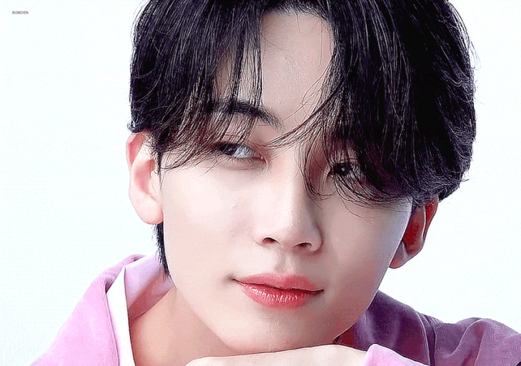 [SEVENTEEN 憑依小説] ケーキに囲まれたフォークは死ぬほど辛い_ 09.