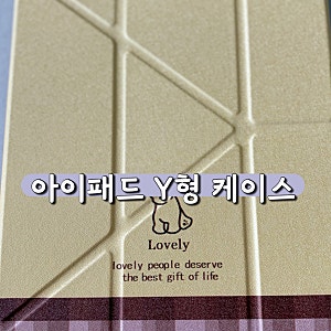 DANYCASE 귀여운 강아지 Y형 아이패드 케이스 추천 장단점 내돈내산