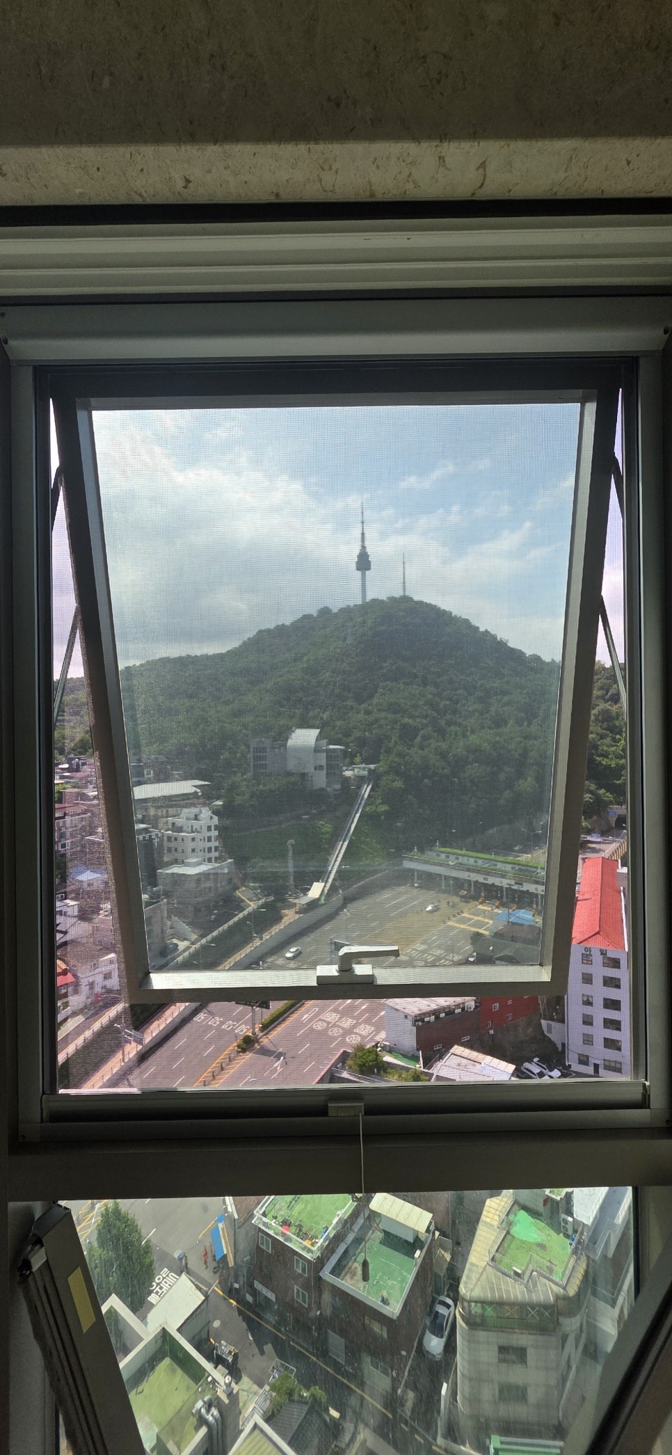 아이리스 사진 1