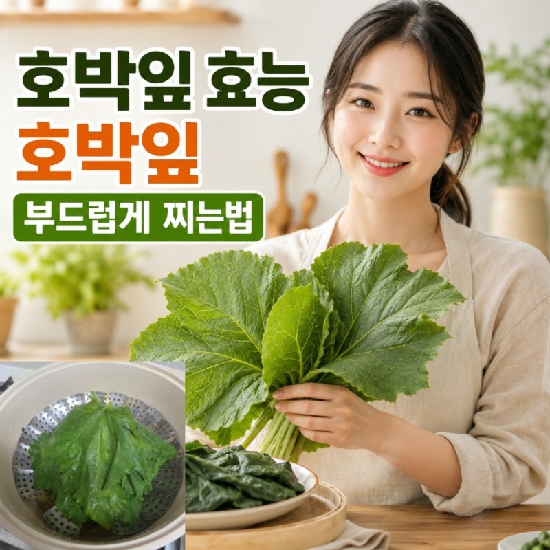 호박잎 효능 4가지와 호박잎 부드럽게 찌는 법 보관법