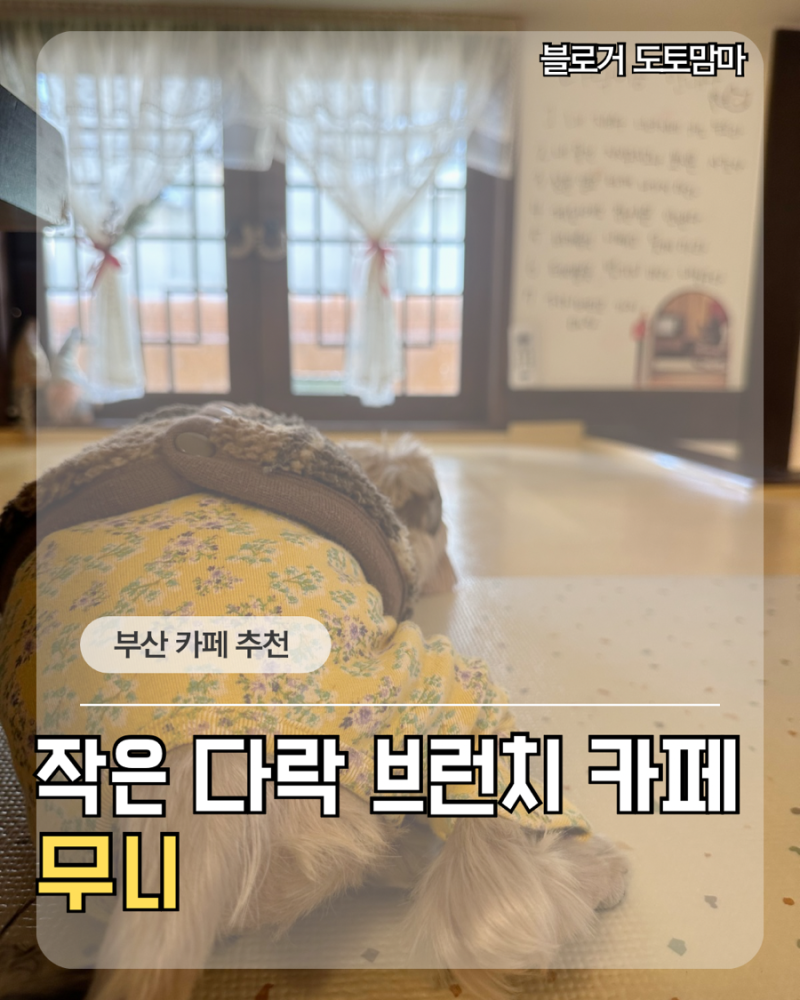 부산 해운대 해리단길 카페 무니 (Moony) | 애견동반 브런치 우일맨션 다락방 좌석