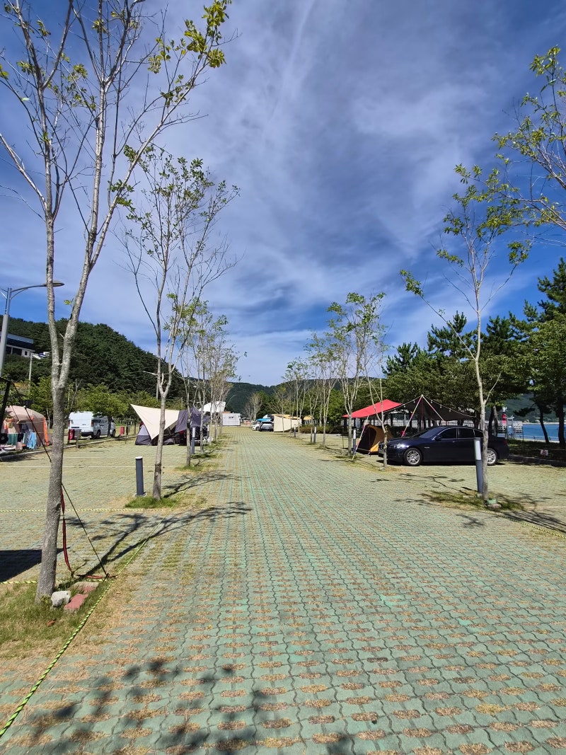 거제 구조라항캠핑장