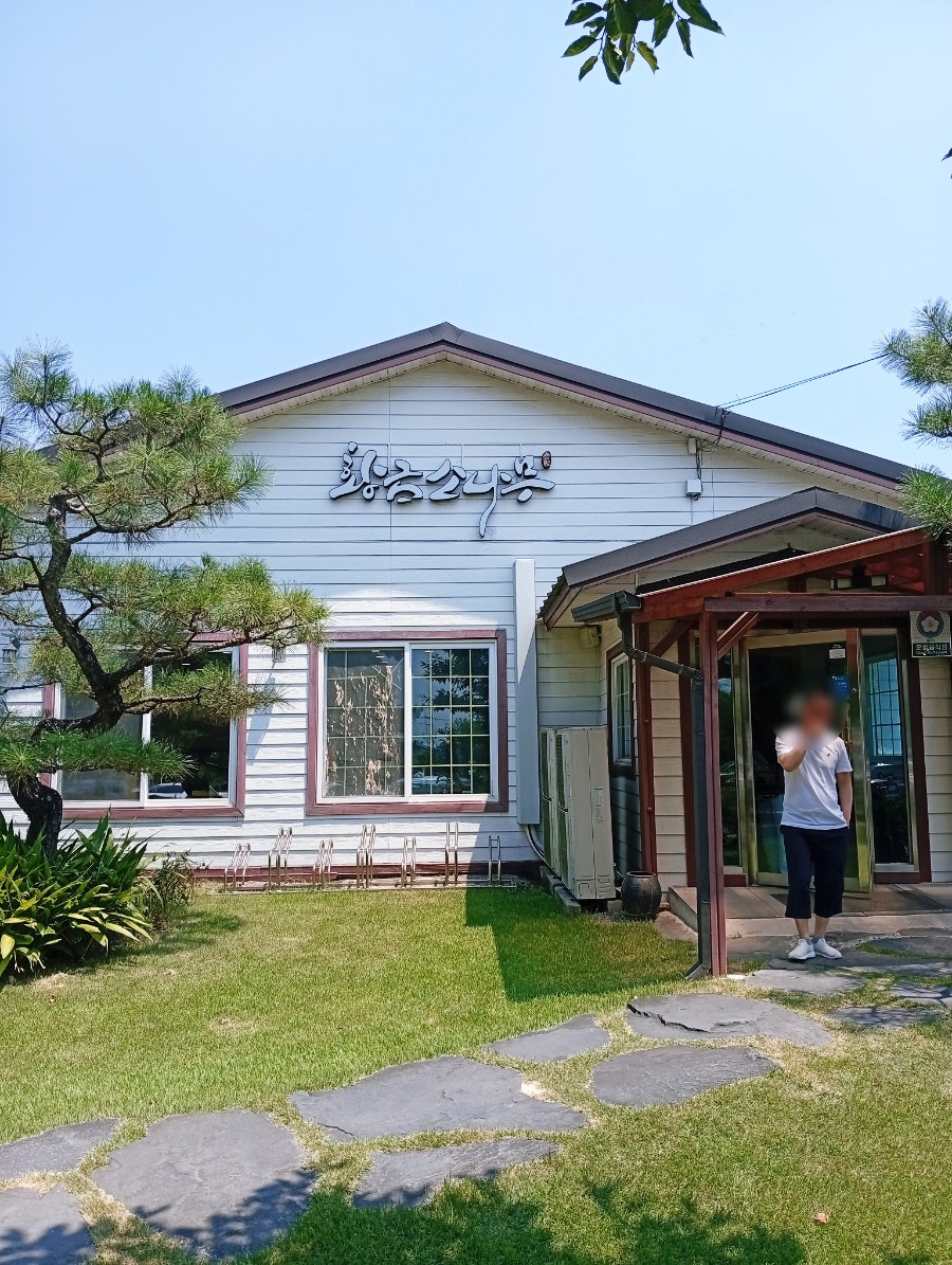 황금소나무 사진 6