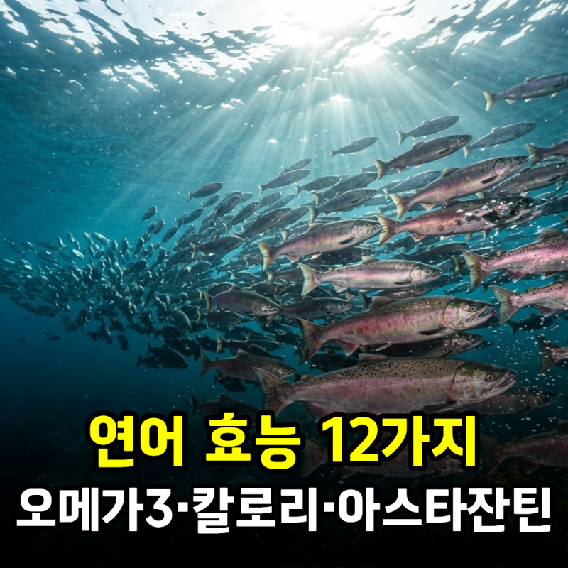 연어 효능 12가지, 영양성분부터 오메가3·칼로리·아스타잔틴·부작용