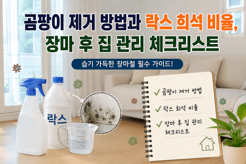 곰팡이 제거 방법과 락스 희석 비율, 장마 후 집 관리 체크리스트