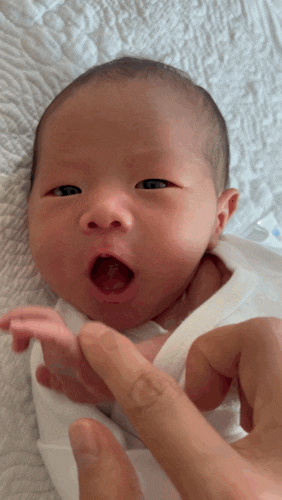 [조리원 Life] 잘먹고 잘자고 잘쉬고 잘짜기 (+아기 먼저 입소시키기, sk산후조리원)