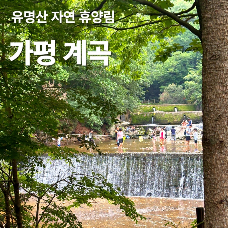 가평 계곡 펜션 어디갈까? 국립 유명산자연휴양림 직접 가봤다