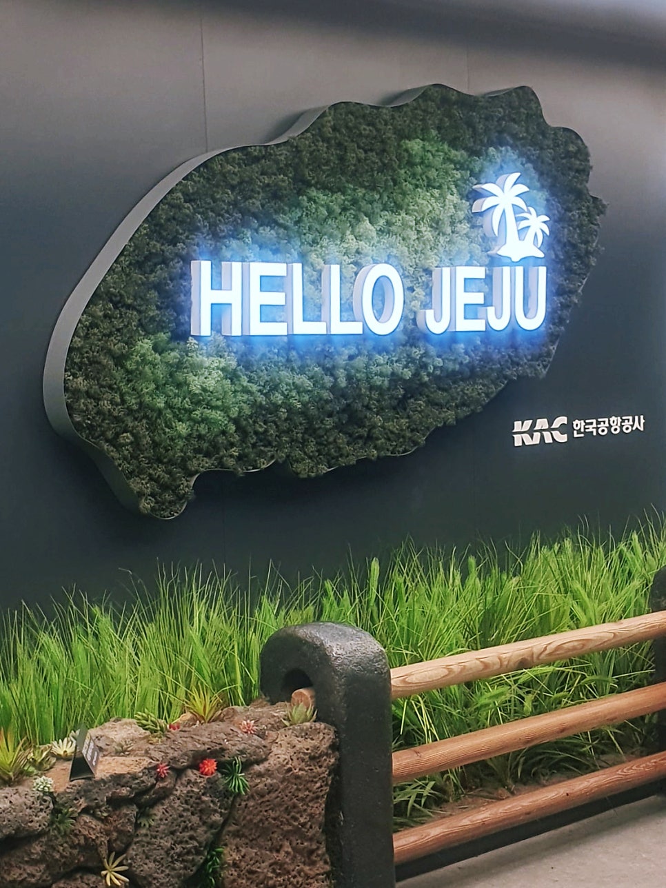 섬누들 사진 1