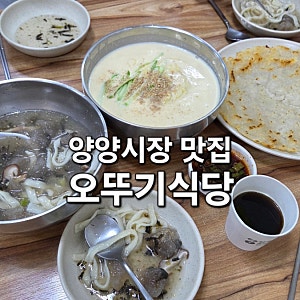 양양전통시장 맛집 오뚜기식당 옹심이칼국수 콩국수 감자전 추천