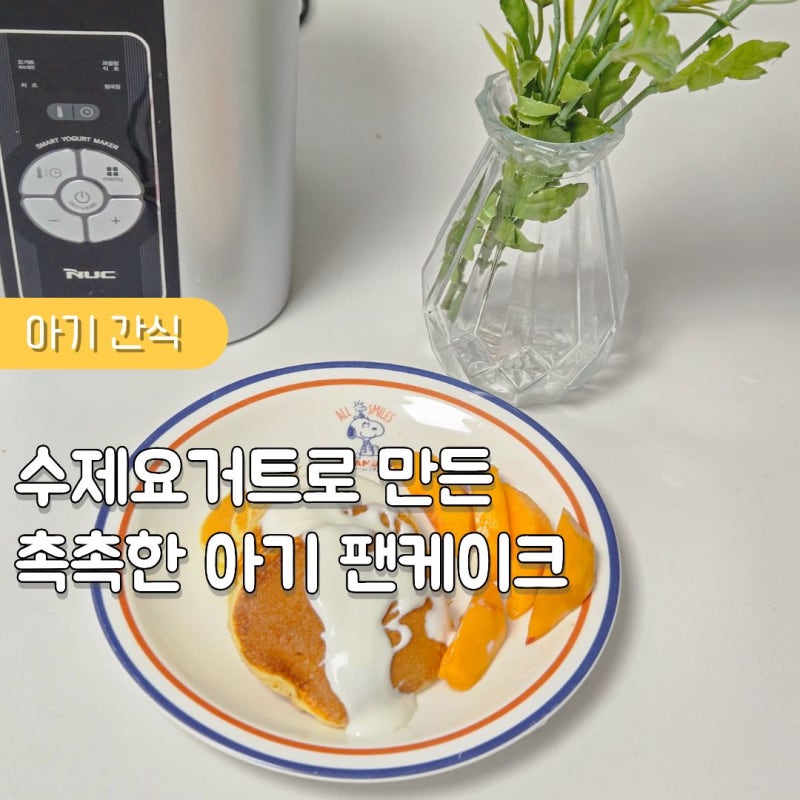 아기 간식 추천! 엔유씨 요거트메이커 수제요거트로 만드는 촉촉한 팬케이크