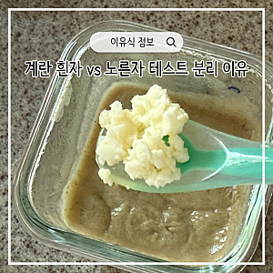 아기 중기이유식 계란 알러지 테스트 흰자 vs 노른자 분리 이유 및 주의사항