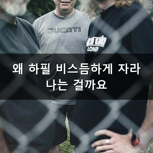 누운 사랑니 발치 과정과 관리 방법 정리