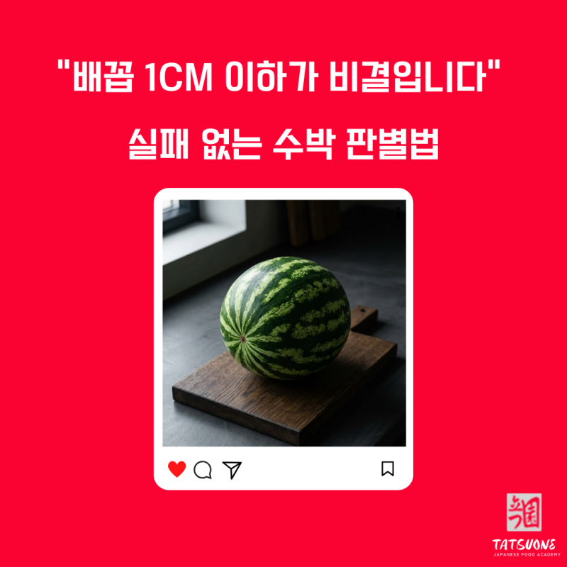 맛있는 수박 고르는 방법 껍질이 두꺼워지는 진짜 이유?