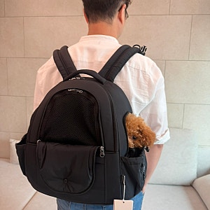 [내돈내산] 쏘오옥 프론트백 양문형 m 블랙 후기 (+토이푸들1.7kg)