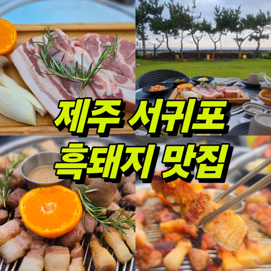 제주힐링돼지 사진 1