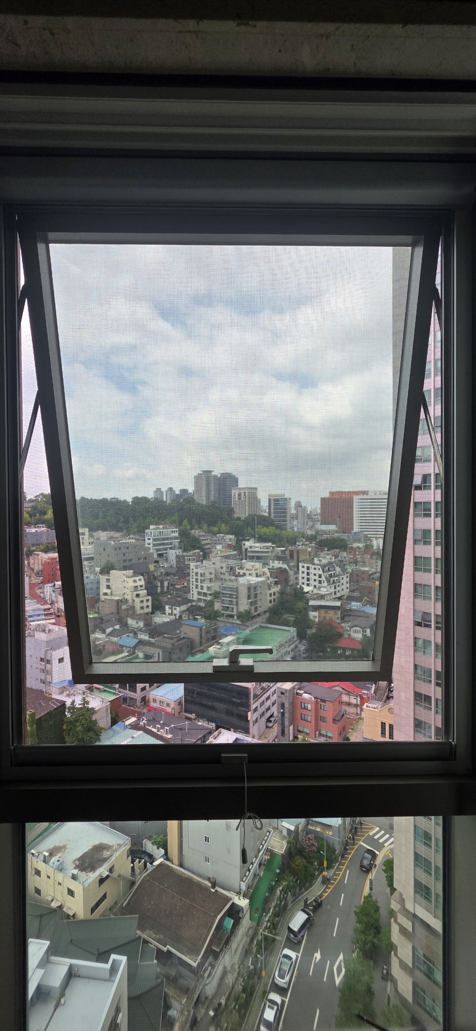 아이리스 사진 3