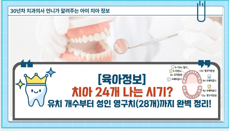 [육아정보] 치아 24개 나는 시기? 유치 개수부터 성인 영구치(28개)까지 완벽 정리!