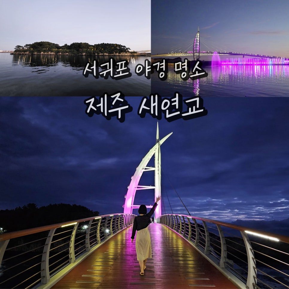 새섬 사진 1