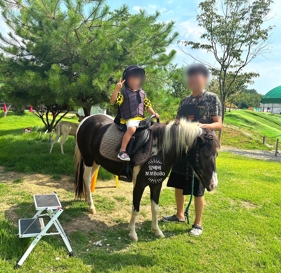 버드앤쥬 사진