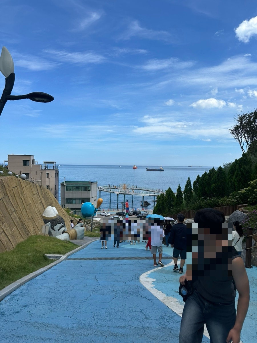 회귀빈 사진 3