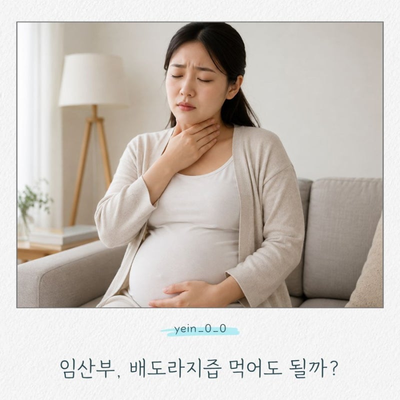 임산부 배도라지즙 먹어도 될까? 목감기 있을 때 괜찮을까? (효능·주의사항 총정리)
