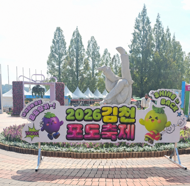 김천포도축제 2026 아이와 가볼만한곳 체험신청 물놀이 주차 총정리