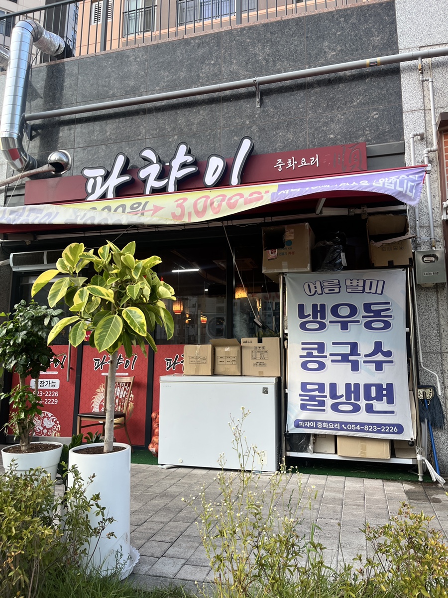 파챠이 사진 1