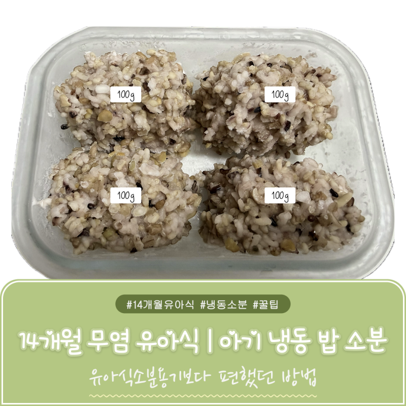 14개월 무염 유아식 | 아기 냉동 밥 소분 방법 (밀프렙 보관 꿀팁)