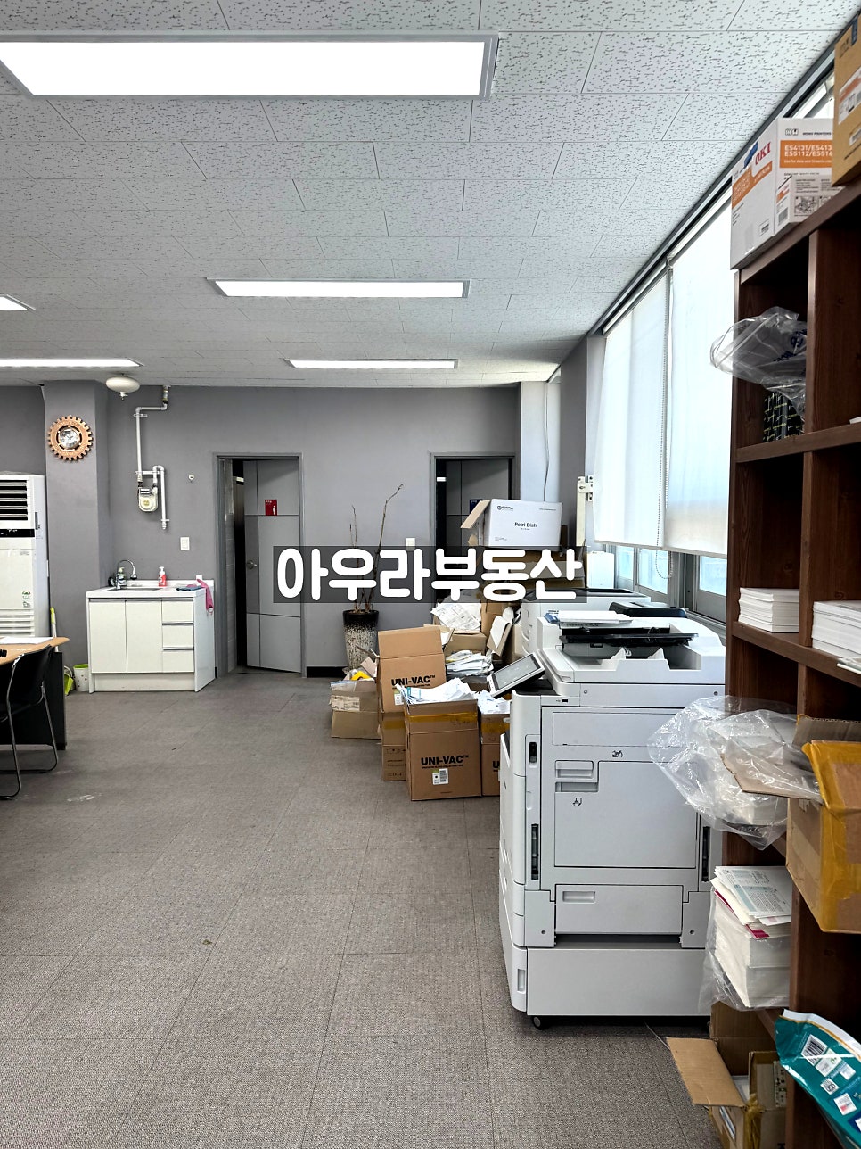 현 사진 5
