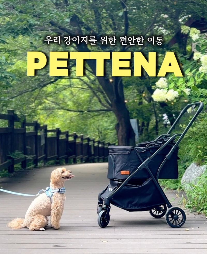 가벼운 원터치 폴딩 강아지 유모차 추천, 펫테나 뉴턴 (할인코드 포함)