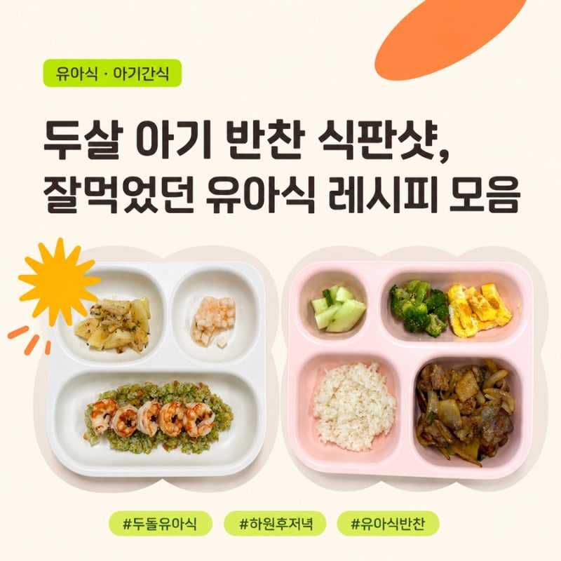 두살아기 식판샷, 잘먹었던 유아식 식단 반찬 레시피 모음
