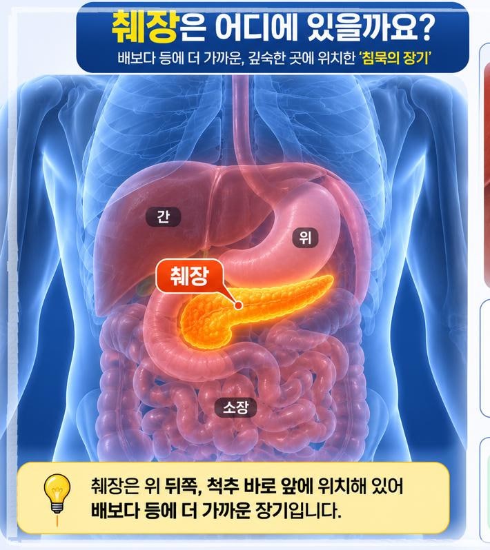 허리 통증이 계속된다면? 췌장이 보내는 마지막 경고일 수도 있습니다놓치기 쉬운 췌장암 초....
