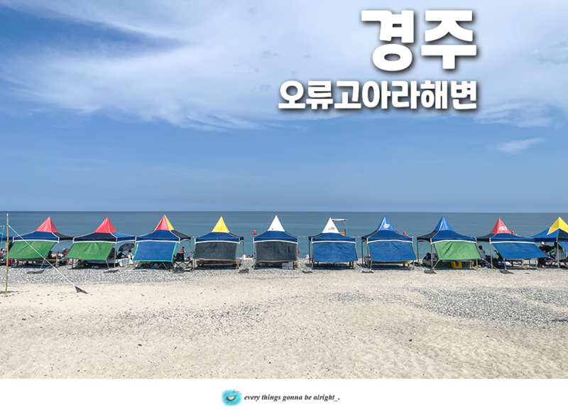 경주 감포 오류 해수욕장 개장정보 평상 샤워 오류고아라해변