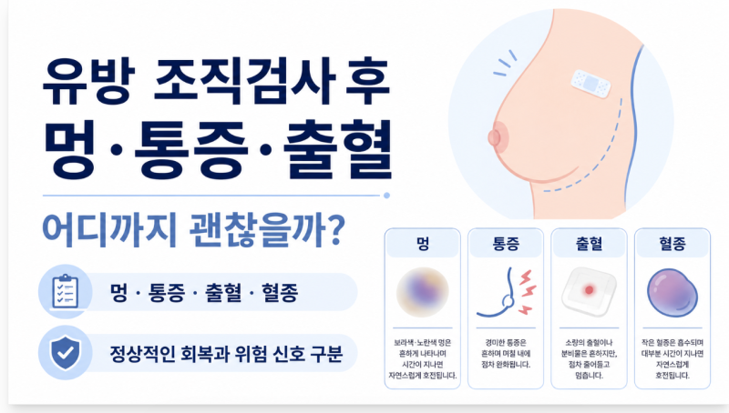 유방 조직검사 후 멍·통증·출혈, 어디까지 괜찮을까?
