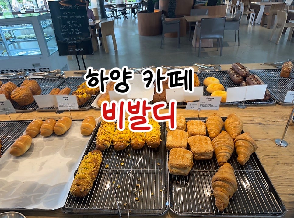 비발디 사진 1