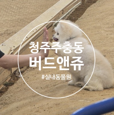 청주이색데이트로 딱이었던 곳, 청주 실내동물원 "버드앤쥬" 후기