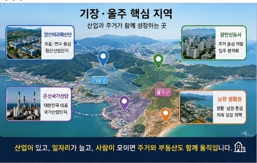 토지 사진 3
