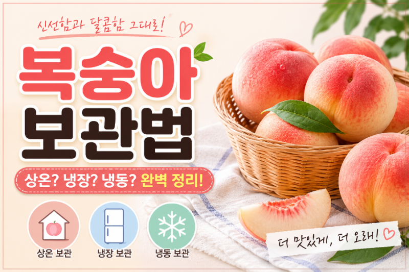 복숭아 보관법 총정리! 상온? 냉장? 가장 맛있게 먹는 방법