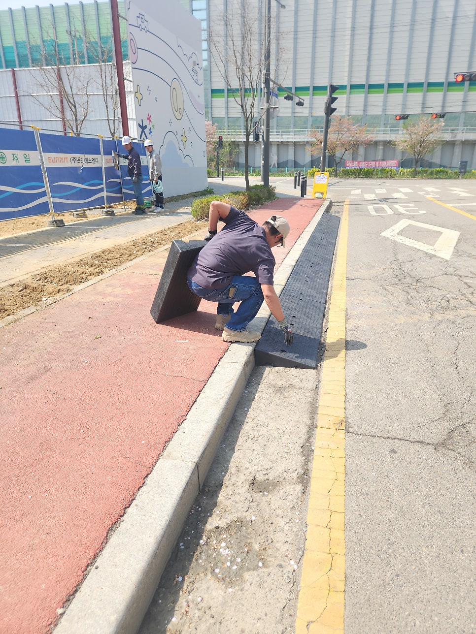 판 사진 6