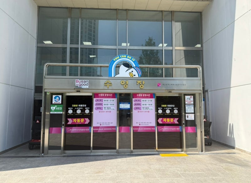 부산 평일 자유수영 가능한 사직실내수영장 후기 50m레인