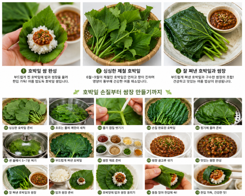 호박잎 제철, 호박잎 효능부터 손질법·찌는 방법·쌈장 만드는 법까지 한 번에!