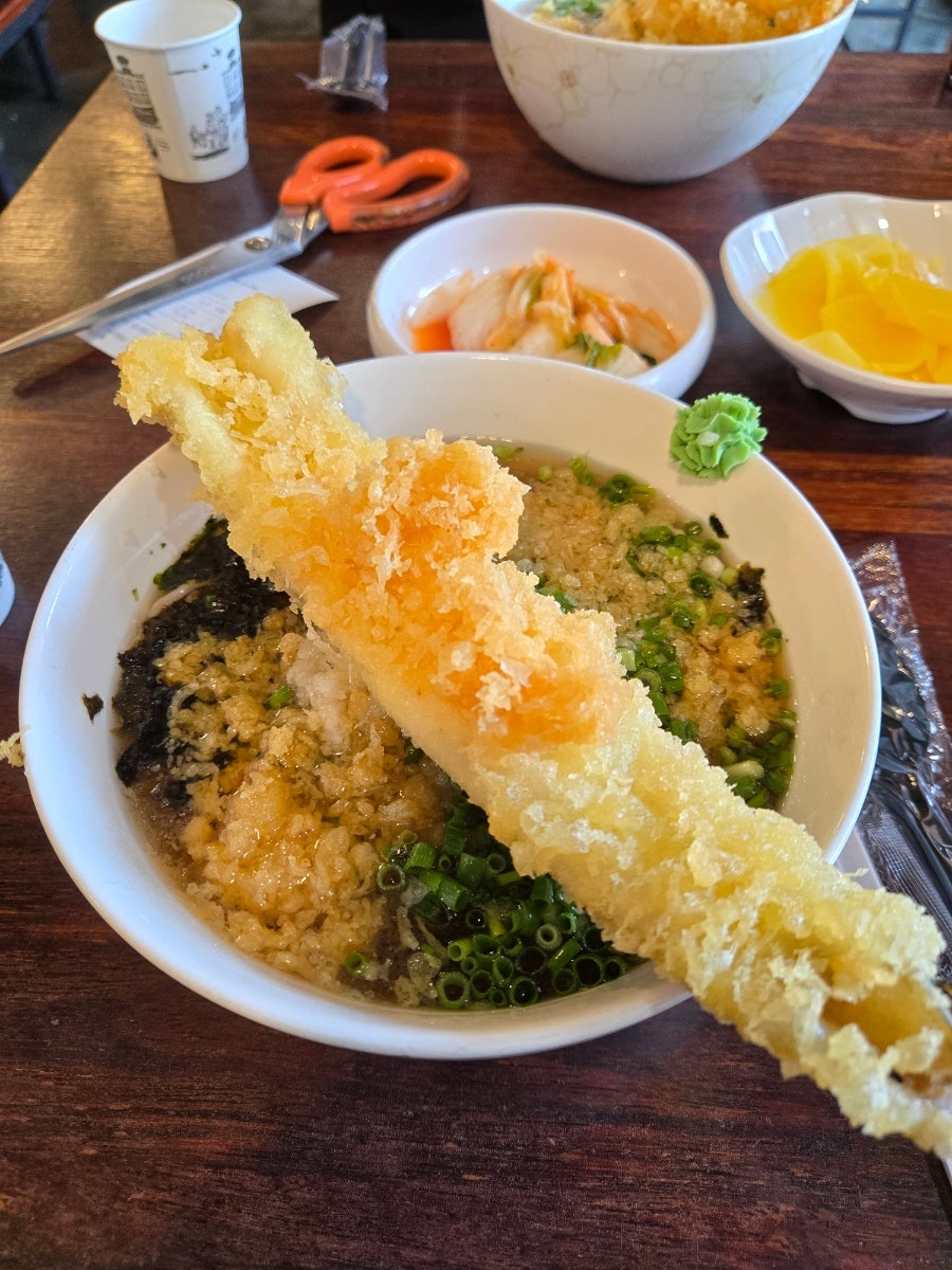 봄 사진 1