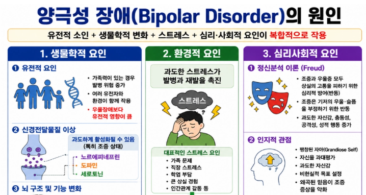 [정신간호학] 05. 양극성 장애(Bipolar Disorder)의 원인